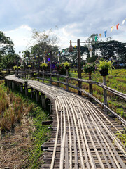 Naklejka premium Walking suspense bridge made of dry bamboo