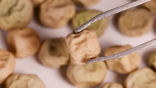 Macro Close-Up of Metal Tweezers Holding a Single Dried Pea Seed