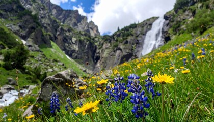 Obraz premium A beautiful alpine meadow blooms with pink and blue wildflowers under a clear summer sky with the majestic Alps mountains in the background