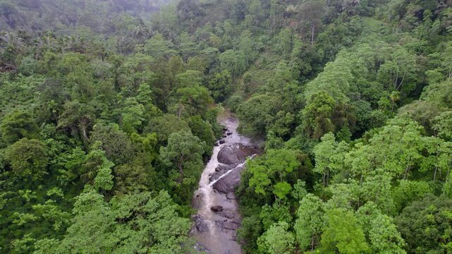 Sinharaja rainforest with winding river cutting through dense canopy.