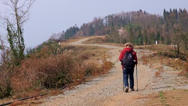 Back view of a guy hiking with trekking poles. A man is hiking outdoors on a mud road.