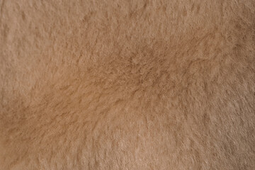 A beautiful detailed close up of light brown soft fuzzy natural textile texture background © reddish