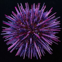 Vibrant Sea Urchin with Purple Spikes on Dark Background