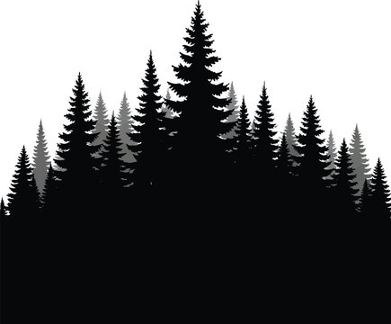 Silhouette Forest Landscape with Pine Trees on White Background