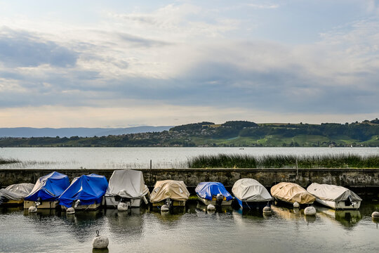 Murten, Morat, Murtensee, See, Seeufer, Schiffssteg, Boote, Mont Vully, Weinberge, Schifffahrt, Seerundfahrt, Weindorf, Weinregion, Weinbauer, Winzerd&ouml;rfer, Wanderweg, Sommer, Schweiz 