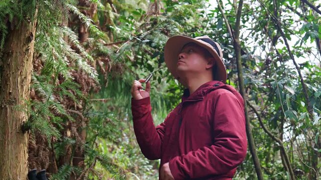 In the primeval forest, a man doing outdoor hiking is eating biscuits to replenish energy (close-up).