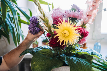 Hands of man adjust purple flower in large bouquet with dahlia and asters. Mental health hobbies, tactile healing, peaceful home environment, creative meditation, emotional wellness.