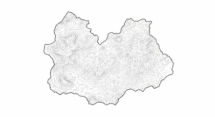 Obraz premium Stylized contour map showing intricate elevation lines on a topographic surface