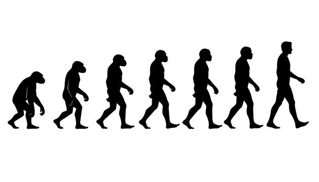 Human Evolution Silhouette Progression Set &ndash; Ape to Modern Man Vector Sequence Isolated