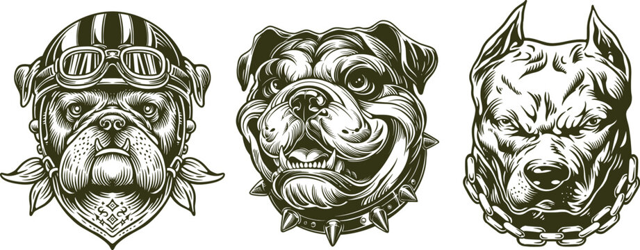 vector graphic outline dog hound head angry roar pit bull drawing