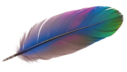 Isolated colorful bird feather featuring rich hues, shimmering textures, and vibrant iridescence © Vetle