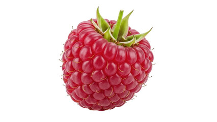 Isolated fresh raspberry fruit, juicy sweet dessert food ingredient or healthy snack