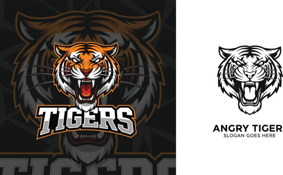 Angry Tiger Vector Illustration with Bold Typography and Graphic Design