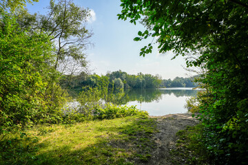 Fototapeta premium View of the Silbersee lake and the surrounding landscape. Nature by the lake near Leverkusen. 