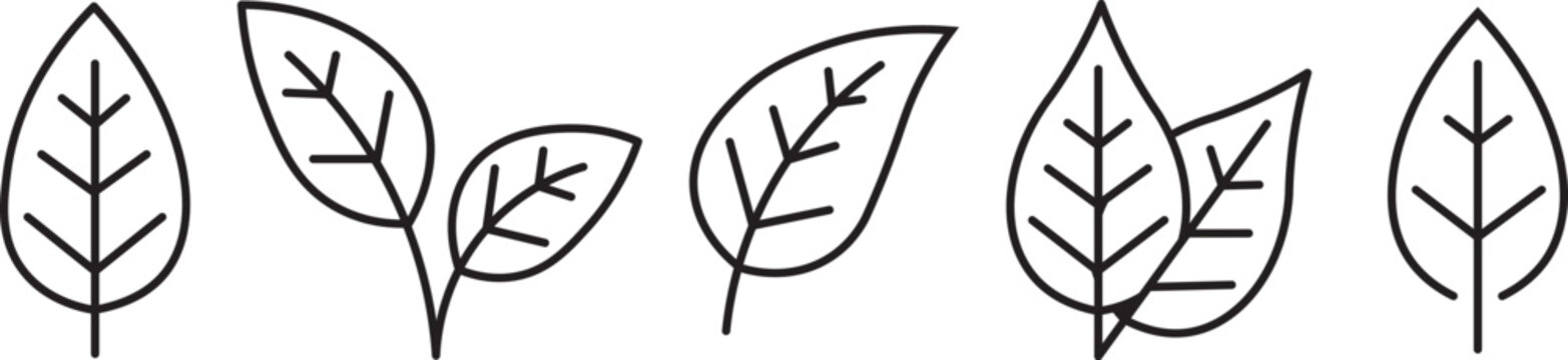 Set black line leaf icons