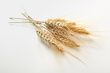 Naklejka premium Harvested wheat stalks arranged on a plain background in a simple display
