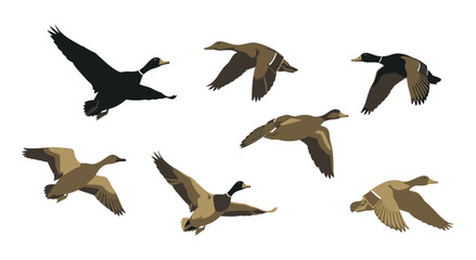 Set of flying wild ducks and geese isolated on white background © SADIKUR