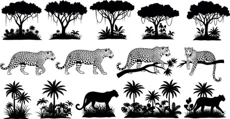 Black jungle silhouette set with leopards jaguars tropical trees and palm plants for wildlife nature safari and exotic landscape designs © Shapla