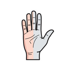 Obraz premium Human Hand Showing Stop Gesture with Open Palm, isolated white background.