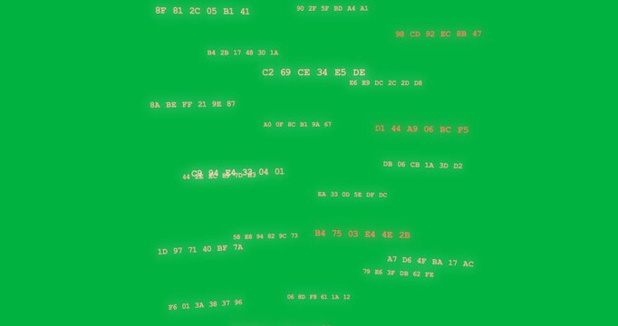 On load hex panel column scrolling, wobbling, orange pulsing showing data on transparent backdrop