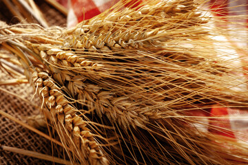 Fototapeta premium Harvested wheat tied with string on a rustic cloth background in a farm setting