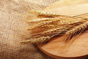 Fototapeta premium Wheat ears placed on a wooden board on a burlap background in a farm setting