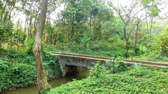 4K Static Shot of Stone Footbridge over Malampuzha Irrigation Canal, Keralassery, Palakkad, Kerala