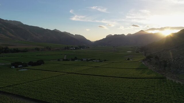Sun sets over distant mountain to light valley of lush green orchards