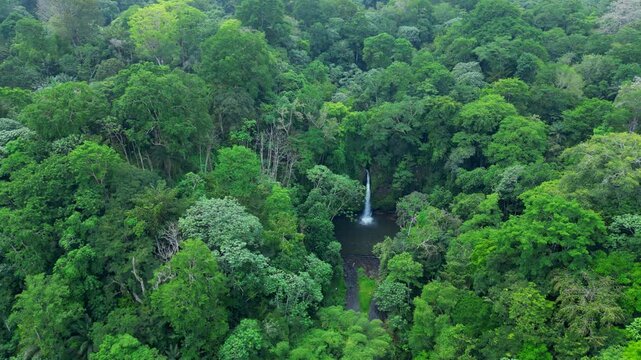 Circular aerial view of the water flowing through the forest from the Guegue waterfall in S&atilde;o Tom&eacute;,Africa