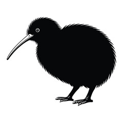 Kiwi bird standing side view Vector, Silhouette, Illustration