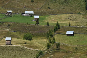Picturesque rural landscape with wooden houses and lush green fields in daytime