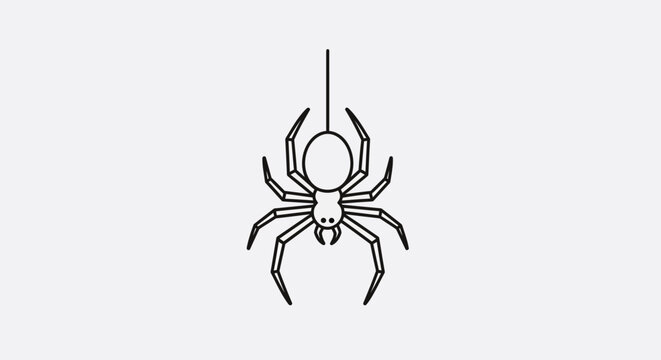 Black Spider Hanging Down.