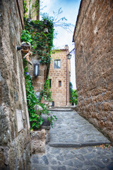 Fototapeta premium Narrow Stone Alley in Historic Civita di Bagnoregio with Lush