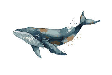 Watercolor Whale Illustration Swimming in Ocean. © Hato