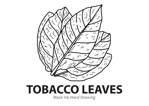 chewing tobacco manufacturers Loose Leaf Chewing Tobacco
