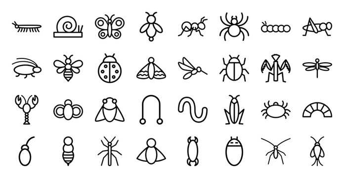 Entomology and pest control monoline icons for educational biology materials. Professional black outline pictograms featuring diverse insects, arachnids, and garden invertebrates.
