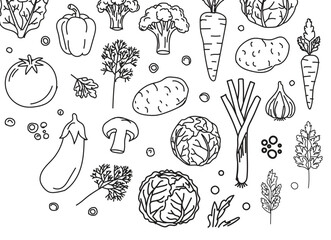 Obraz premium A variety of vegetables illustrations including broccoli, carrot, and mushroom
