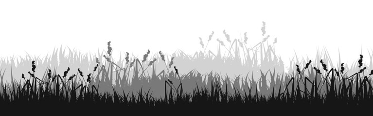 Fototapeta premium Meadow silhouette with grass, plants on plain. Panoramic summer lawn landscape with herbs, various weeds. Herbal border, frame element. Black horizontal banners. Vector illustration