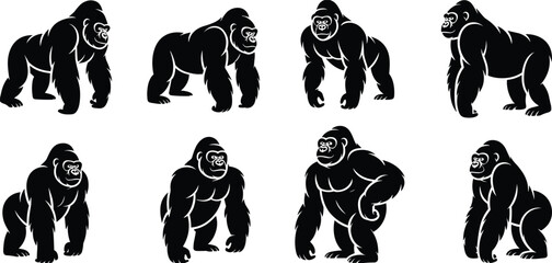 Black gorilla silhouettes set with powerful standing walking and alpha male poses, primate wildlife collection, cad drawing flat vector illustration, jungle animal © EMON