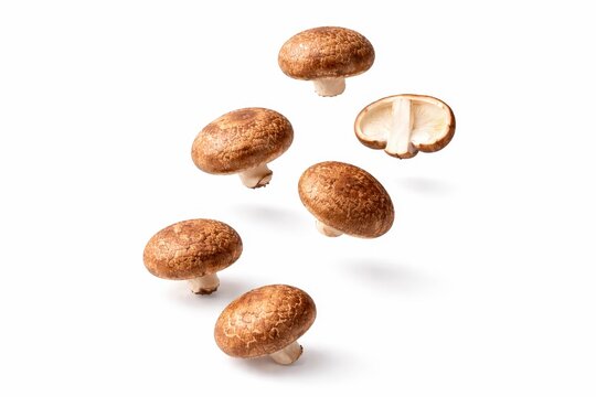 Shiitake mushrooms floating at staggered heights with soft separated shadows premium minimal food composition studio photo
