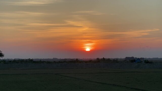 Sunrise Over Rural Landscape With Misty Fields And Silhouetted Trees