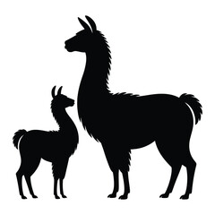 Fototapeta premium Llama with baby Vector, Silhouette, Illustration