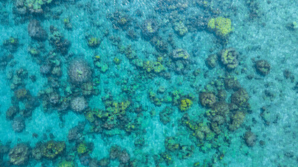 Top view of natural coral formations in shallow sea water with rippling sun reflections, perfect for summer vacation, snorkeling, and environmental conservation themes. concept environment lagoon. © Media 