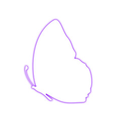 Butterfly Purple Neon