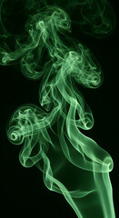 Fototapeta premium Abstract swirling green smoke wisps gracefully dancing against a stark black background creating an ethereal and mysterious atmosphere