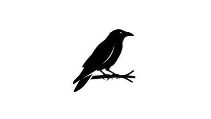 Obraz premium Majestic black bird perched on branch in profile view