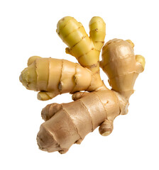 Fresh ginger roots on white background