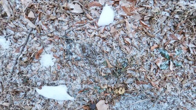 First-person perspective walking along a rural asphalt lane covered with patches of melting white snow and dry fallen leaves. Captures the quiet transition from winter to spring in Japan.