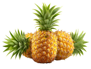 Fototapeta premium Fresh ripe pineapple whole and sliced isolated on white background tropical fruit healthy food