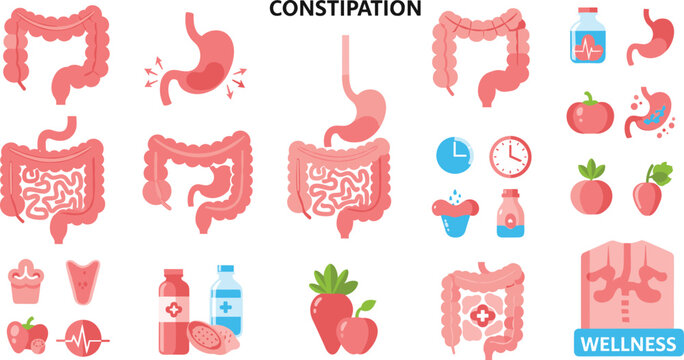 Constipation Symptoms and Digestive System Organs with Fiber Food and Wellness Icons Vector Set